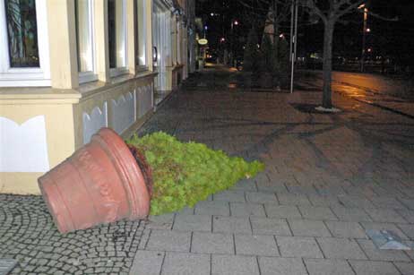 Die große Topfpflanze in der Vorderreihe ist mal wieder umgekippt. Beim letzen Sturm waren die Pflanzenkübel auf die Straße gekollert, so dass ein aufmerksamer parteiloser Bürger die Polizei rief. Schließlich stellte die Freiwillige Feuerwehr die schweren Kübel wieder auf. Foto: KARL ERHARD VÖGELE