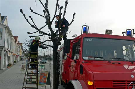 Wenn es darum geht, konkret anzupacken, sind die Jungs von der Freiwilligen Feuerwehr Travemünde gefragt. Foto: KARL ERHARD VÖGELE