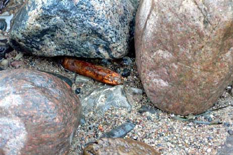 Das gefährliche Überbleibsel des letzten Weltkrieges aus der Nähe. Foto: KARL ERHARD VÖGELE
