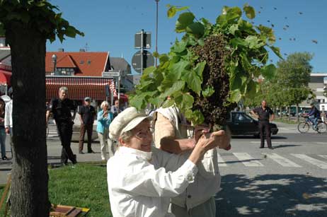 Gerda Diestel und Günhter Bremer mit dem gesicherten Schwarm. Foto: HELGE NORMANN