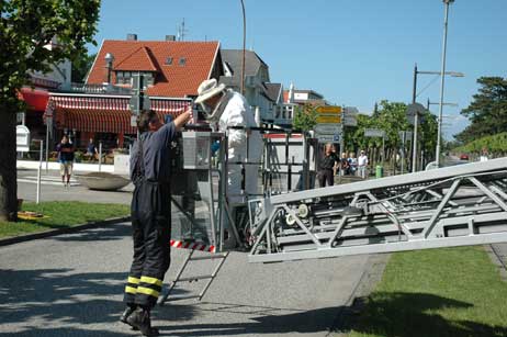 Von Katzen, die die Feuerwehr aus Bäumen rettet, hat man ja schon gehört. Bei Bienenvölkern holt man sich lieber Verstärkung vom Schwarmfänger. Foto: HELGE NORMANN
