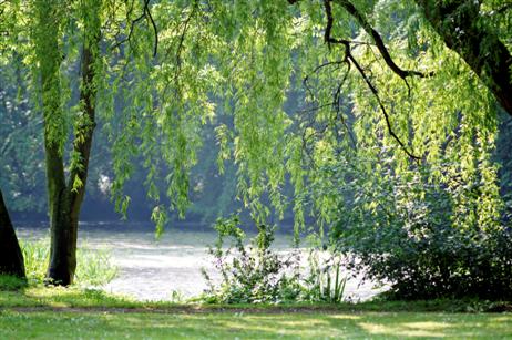 Nach Regen und Gewitter kam heute wieder die Sonne durch. Der kleine Teich im Zippelpark lädt zum Verweilen ein. Foto: KEV 