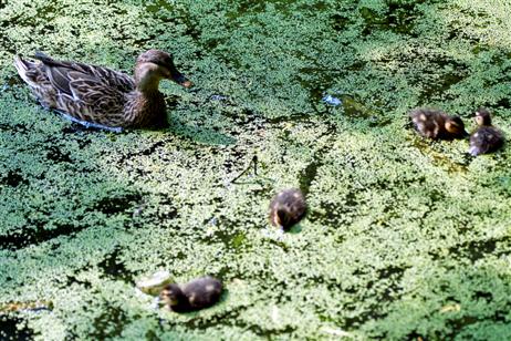Erst nach energischer Aufforderung versammelte sich die Kinderschar. Foto: KEV 