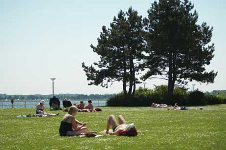 Wiese am Wasser: Zwischem dem Grünstrand und der Ostsee liegen nur die Strandpromenade und der Strand. Foto: KARL ERHARD VÖGELE