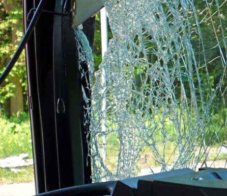 Travemünde Aktuell: Bus übersehen