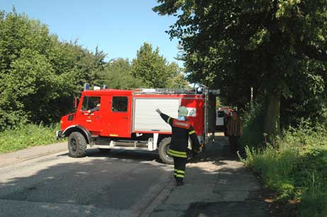 Travemünde Aktuell: Bus übersehen