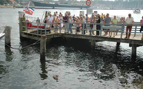 Travemünde Aktuell: Im Entenmarsch…