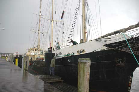 Travemünde Aktuell: Sail Travemünde: Die ersten Segler sind schon da!