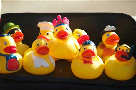 Die Test-Enten (noch ohne Beschwerungs-Gewichte) in der schwarzen Profi-Box. Foto: KARL ERHARD VÖGELE 