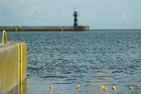 Das Test-Rennen ist gestartet. Zunächst dümpeln die Enten enttäuschend vor sich hin, dann nehmen sie Fahrt auf... Foto: KARL ERHARD VÖGELE 