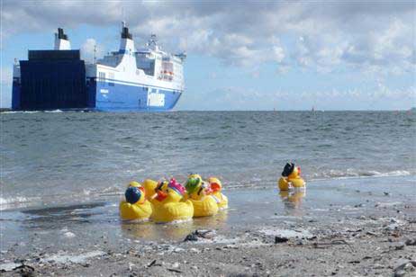 Erstaunlicherweise war die Enten-Königin als erste im Ziel. Am langsamsten war die Ente mit Koch-Mütze. Foto: KARL ERHARD VÖGELE 