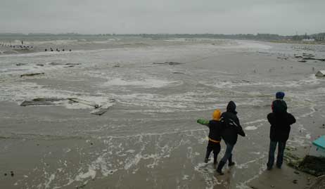 Auch am Strand gabs was zu sehen...