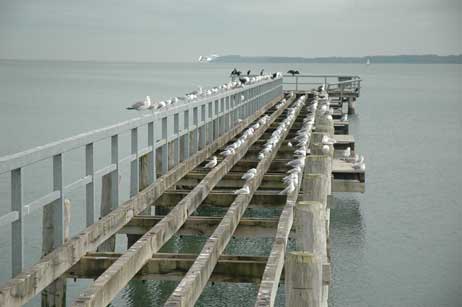 Die Seebrücke bleibt »nackt« bis zur Saison 2008. Foto: RD 