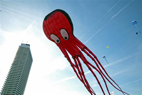Travemünde Aktuell: Flieg Drachen flieg ...