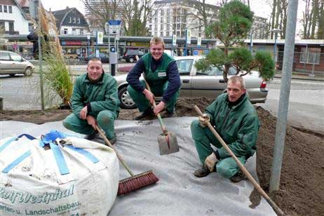 Die Firma Westphal hat die Wurzeln der vorhergehenden Pflanzen mit dem Bagger herausgeholt, neues Erdreich angefahren und die Pflanzen gesetzt. Foto: KARL ERHARD VÖGELE