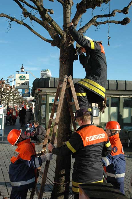 Travemünde Aktuell: Vorderreihe: