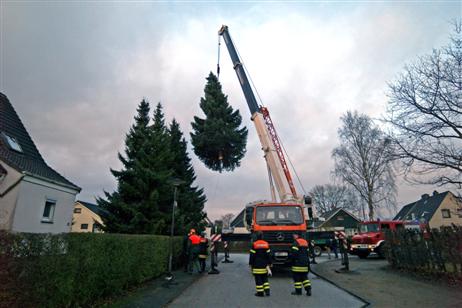 Binnen weniger Minuten war der künftige Weihnachtsbaum abgesägt und hing am Haken des Mobilkrans der Firma Metallbau Tiedemann.
