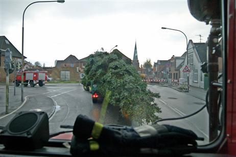 Travemünde Aktuell: Weihnachtsbaum marsch …