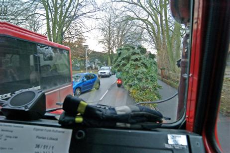 Travemünde Aktuell: Weihnachtsbaum marsch …