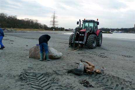 Jetzt heißt es schnell den neuen Sitzplatz präparieren. Solange ruht sich die Nymphe am Strand aus. Foto: KARL ERHARD VÖGELE 