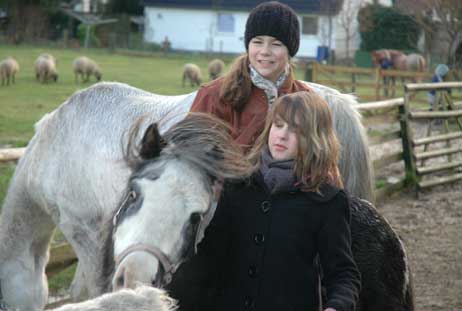 Das Pferd will sich noch nicht so ganz an den Regieplan halten, es hat den Futtereimer geortet. Foto: RD 