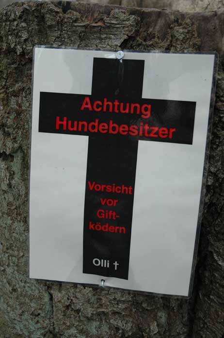 Travemünde Aktuell: Giftköder am Brodtener Ufer?