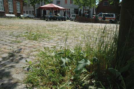 Travemünde Aktuell: »Ich finde das ungeheuerlich«