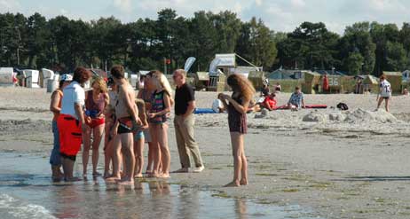 Interessiert drängen sich die Strandgäste um die DRK-Mitarbeiter, die eine aus der Ostsee gefischte Feuerqualle zeigen. Gehört hat jeder schon von den Tieren, aber viele haben noch nie eine gesehen. Deshalb werden sie auch manchmal mit harmlosen Quallen verwechselt. Foto: TA