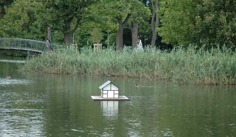 Travemünde Aktuell: Enten haben ihr Haus wieder