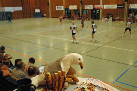 Ließen trotz Niederlage nicht die Flügel hängen: Die Travemünder Raubmöwen. Fotos: TA