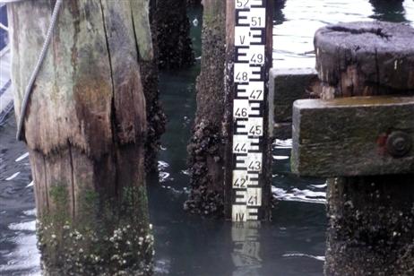 Travemünde Aktuell: Niedrigwasser auf der Trave zeitweise unter 4 Meter