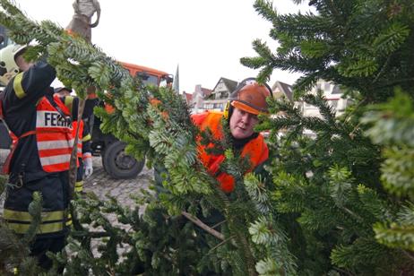 Der Baum kommt an den Kran. Foto: KARL ERHARD VÖGELE