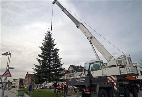 Der Weihnachtsbaum wird in Position gebracht. Foto: KARL ERHARD VÖGELE