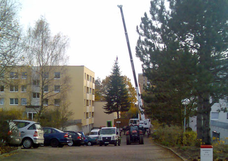In der Nordmeerstraße wurde die Tanne für den Fährplatz gefällt. Foto: SN