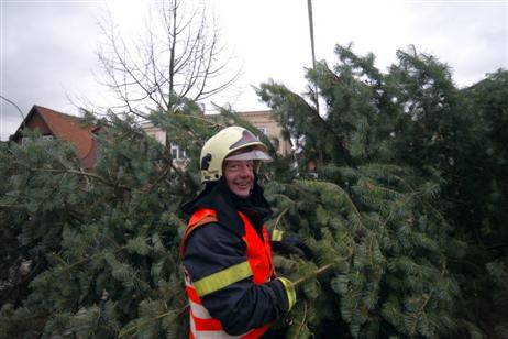 Travemünde Aktuell: Altstadt-Initiative: Der Weihnachtsbaum vor St. Lorenz Travemünde