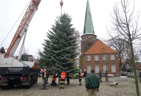 Travemünde Aktuell: Altstadt-Initiative: Der Weihnachtsbaum vor St. Lorenz Travemünde