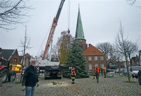 Travemünde Aktuell: Altstadt-Initiative: Der Weihnachtsbaum vor St. Lorenz Travemünde