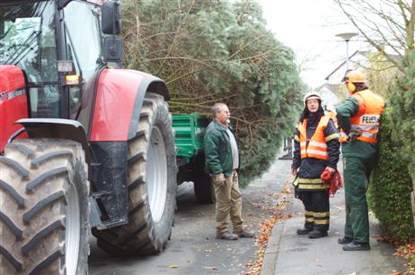 Travemünde Aktuell: Altstadt-Initiative: Der Weihnachtsbaum vor St. Lorenz Travemünde