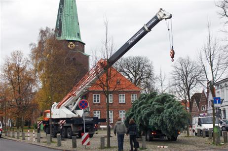 Travemünde Aktuell: Altstadt-Initiative: Der Weihnachtsbaum vor St. Lorenz Travemünde