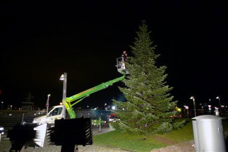 Travemünde Aktuell: Fährplatz: Letzter Weihnachtsbaum geschmückt