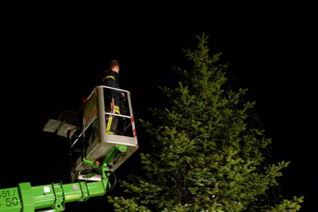Travemünde Aktuell: Fährplatz: Letzter Weihnachtsbaum geschmückt