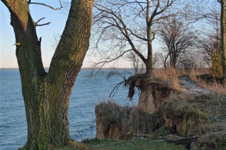 Der Baum ganz am Abgrund war schon einmal Star im Mittelfoto von »Travemünde Aktuell«, Ausgabe Januar. Er ist gut ins neue Jahr gekommen. Aber Wind und Wetter werden ihm weiter zusetzen.