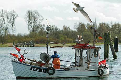 Sein Kutter TRA 11 beim Einlaufen zum Liegeplatz im Fischereihafen.