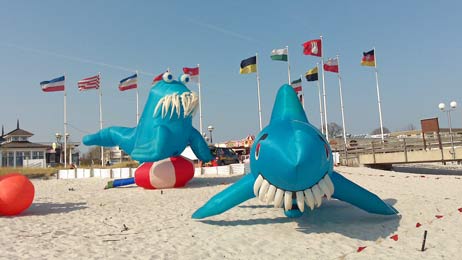 Travemünde Aktuell: »Das haben wir noch nie gesehen!«
