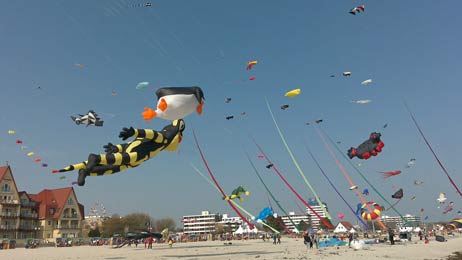 Travemünde Aktuell: »Das haben wir noch nie gesehen!«