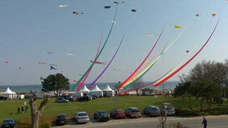 Travemünde Aktuell: »Das haben wir noch nie gesehen!«