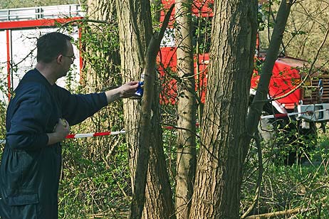 Travemünde Aktuell: »Hasi Eins an Hasi zwei!«