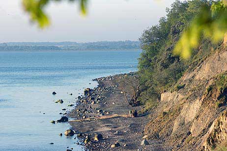 Travemünde Aktuell: Brodtener Ufer im Morgenlicht