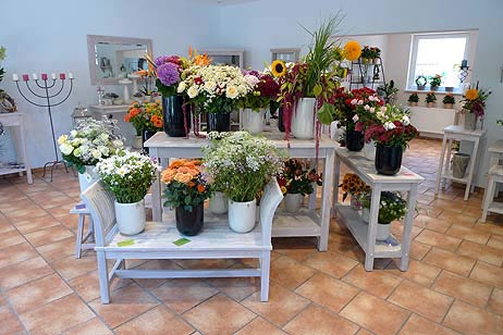 Travemünde Aktuell: 5-Sterne-Blumen