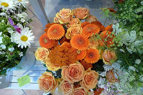 Travemünde Aktuell: 5-Sterne-Blumen